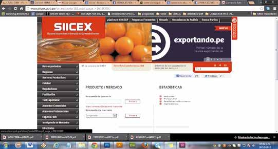 pe Ingreso al Test Exportador Lista vertical del menu Qué es el SIICEX?