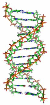 Secuenciación de ADN Secuenciación de ADN Determinar la secuencia de nucleótidos de una muestra de ADN.