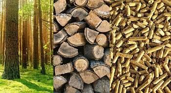 E N E R G Í A B I O M A S A La biomasa es la materia orgánica tanto de origen animal como vegetal. Es una fuente muy variada de energía.