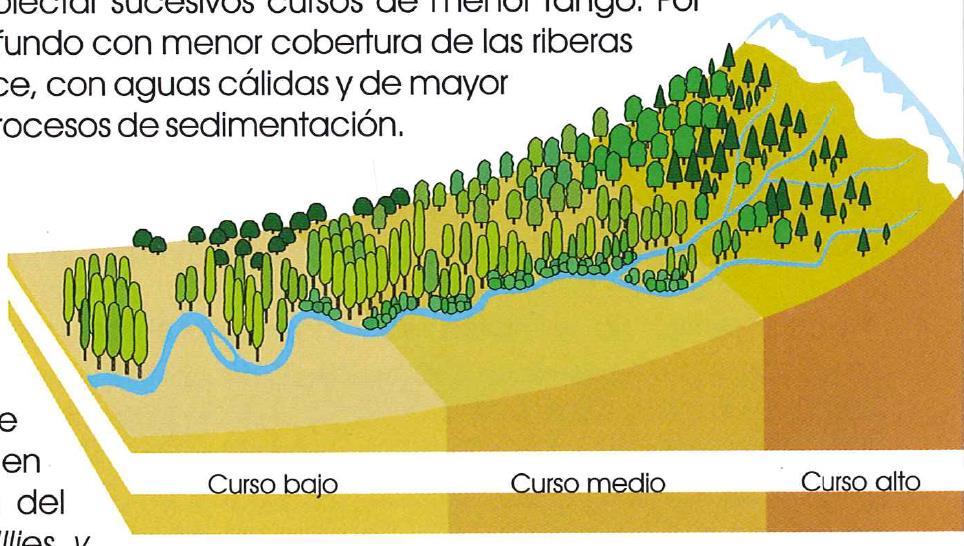 INTRODUCCIÓN Cada río es reflejo de: las condiciones climáticas de la región biogeográfica a que pertenece la cuenca, de la naturaleza geológica y la conformación geomorfológica de ésta del grado de
