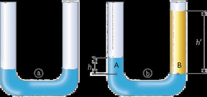 2. La presión hidrostática 1.2. Principio fundamental de la hidrostática Vasos comunicantes: medir la