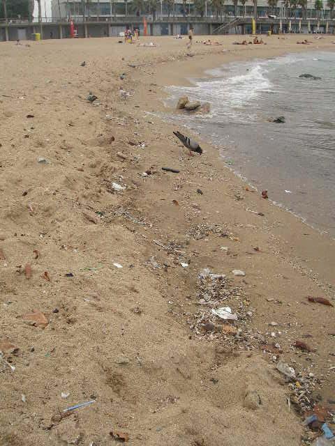 platja de la Barceloneta, bruta després de les pluges