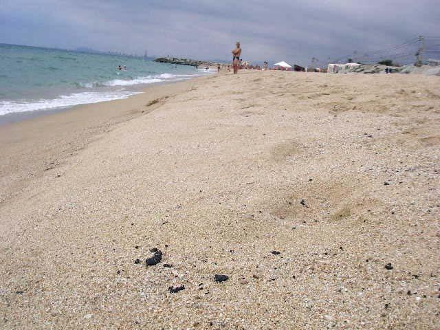 FETS DESTACATS Quitrà a la sorra El dijous dia 21 d agost va arribar quitrà a les platges de Premià de Mar i de Vilassar de Mar.
