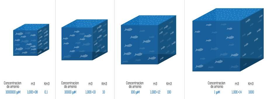 Tabla 3. Estimación de amonio producido por vertimiento de salmones y concentración de amonio resultante en volúmenes crecientes de agua de mar.