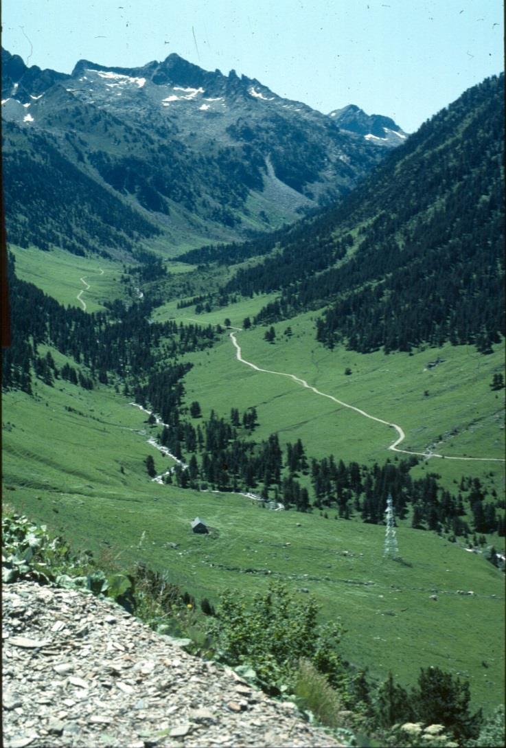Ruda, un valle pirenaico de origen glaciar: (Valle de Arán) Crestas y rocas silíceas, nieve acumulada bosques sobre coluvios y sedimentos de fondo colonizados por