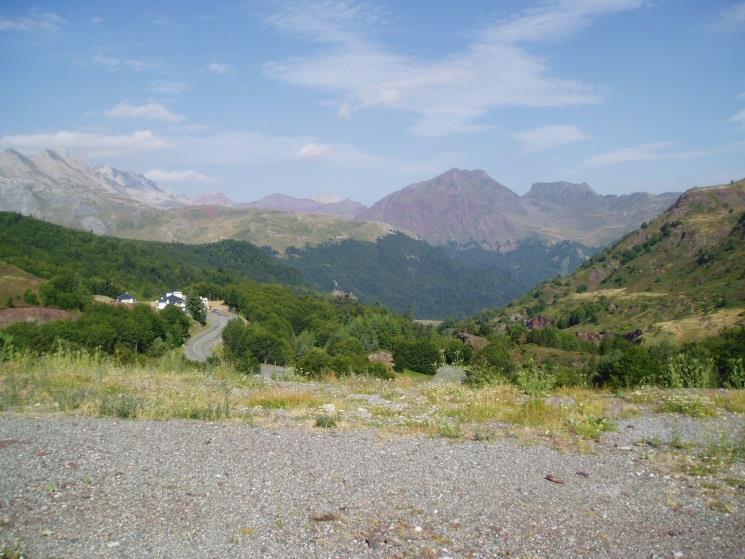 Valle de Aspe (Francia): hayedos con abeto donde