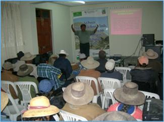 Gestión de la innovación tecnológica de las Mypes del sector agroindustrial de Tacna.