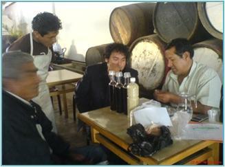 En Planta y Bodega: Clarificación y filtrado de mostos y vino en la Región Tacna. Despulpadora para la extracción de Aceite de Palta Virgen.
