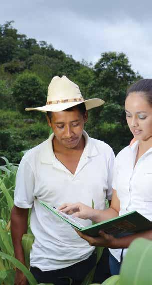 Los secretos de Banrural El modelo inclusivo del Banco de Desarrollo Rural en Guatemala demostró que los sectores de ingresos medio y bajo son un buen negocio.