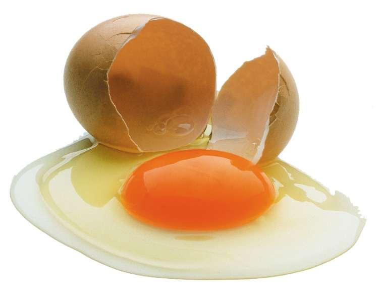 Los huevos líquidos pasteurizados Controles productos acabados (obligatorios) Controles bacteriológicos Búsqueda flora total (< 100.