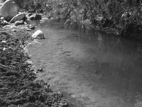 Figura. 10. Izquierda: abrevadero en el río chiquito de Morelia, Michoacán. Derecha: impactos en las riberas del arroyo El Soldado, Arizona, EE.UU.
