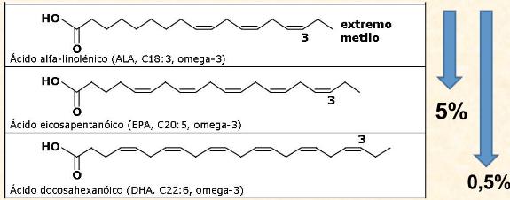 Ácidos grasos esenciales Omega-3 Del ácido α-linolénico el organismo sintetiza muy poco EPA