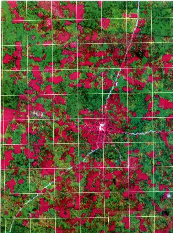 Figura 1: Imágenes de satélite del ejido de Yaxcabá, Yucatán.