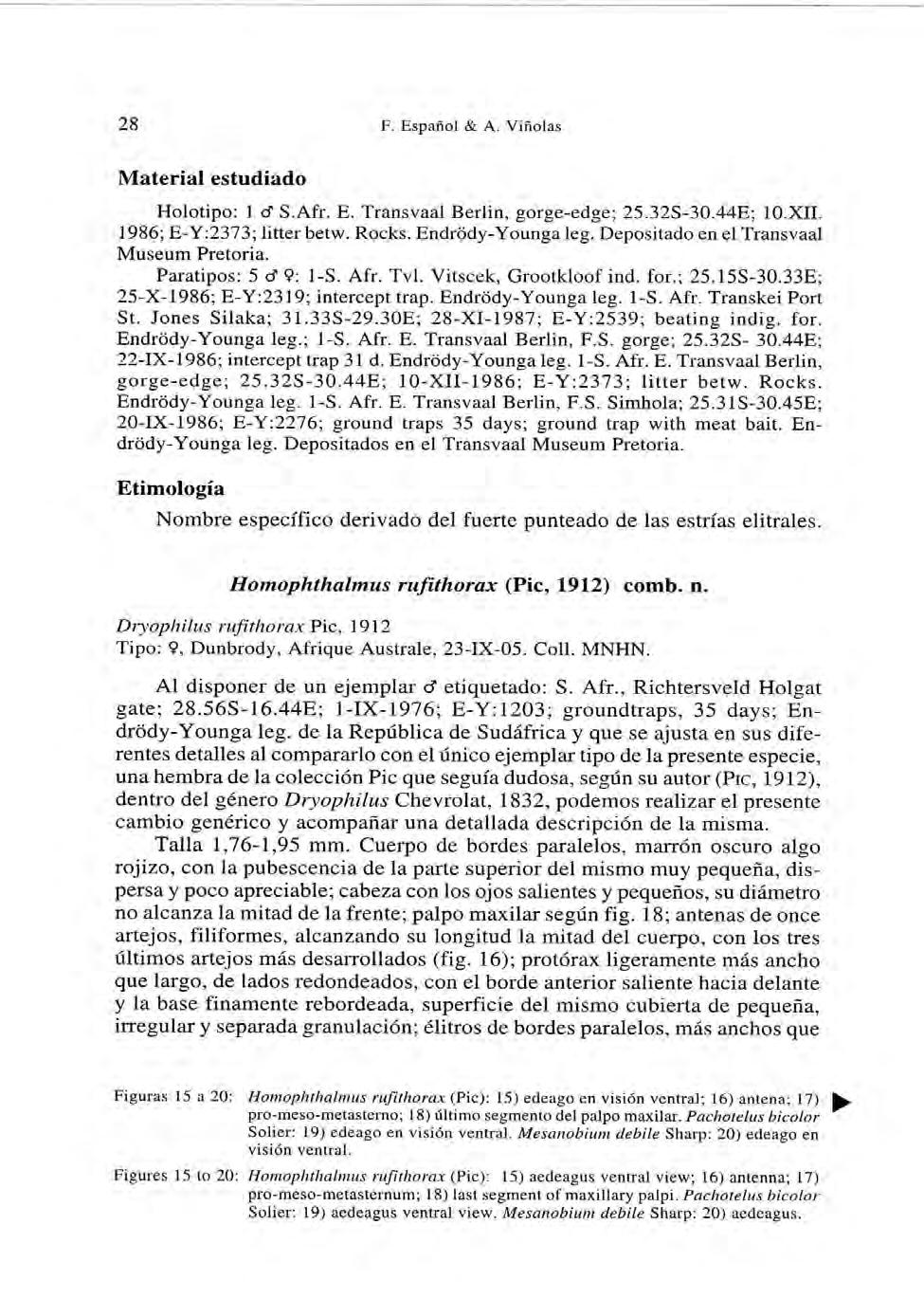 28 F. Español & A. Vínolas Material estudiado Holotipo: 1 d" S.Afr. E. Transvaal Berlín, gorge-edge; 25.32S-30.44E; 10.XII. 1986; E-Y:2373; litterbetw. Rocks. Endródy-Youngaleg.
