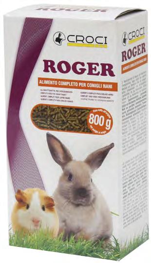 ferret Roger conejo