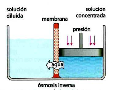 1º BACH C-T TEMA 3: DISOLUCIONES. La presión osmótica (П) es la presión que hay que ejercer sobre la disolución para impedir el proceso de ósmosis. I. Ecuación de la presión osmótica.