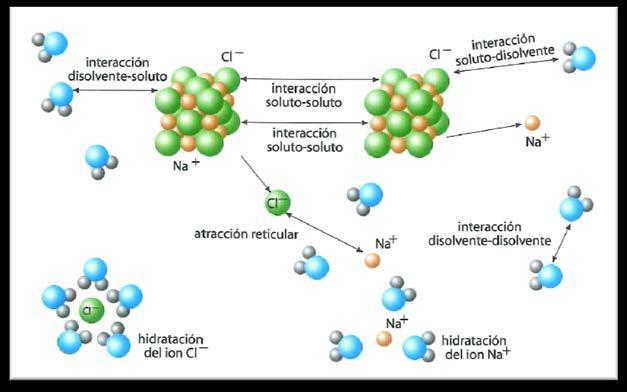 1º BACH C-T TEMA 3: DISOLUCIONES. VII. El proceso de disolución La teoría cinética puede servir para explicar el proceso de disolución de un soluto en un disolvente.