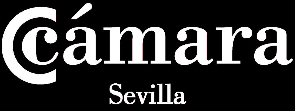La Cámara de Comercio de Sevilla en colaboración con la empresa Walter Kluwer desarrolla este manual que aporta soluciones