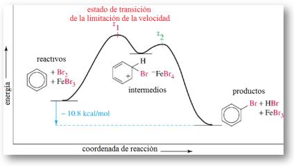 El bromo molecular no es suficientemente electrofílico para reaccionar con el benceno, sin embargo un ácido de Lewis, como el FeBr3 cataliza la reacción.