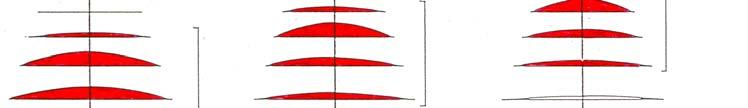 Tecnologías usadas Principio de Antenas Log. Periodica En las antenas log. periodicas hay siempre justo un par de radiadores activos cuyas longitudes se encuentran a λ/2 de la frecuencia real.