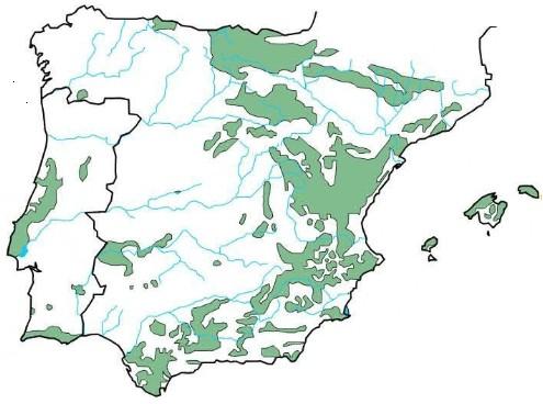 LA ESPAÑA CALIZA La España caliza se extiende por el este peninsular formando una enorme "Z" invertida abarcando los Montes Vascos, el sector oriental de la Cordillera Cantábrica, gran parte del