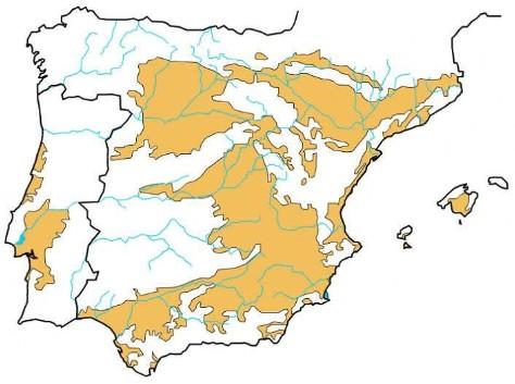 LA ESPAÑA ARCILLOSA La España arcillosa se extiende por las cuencas sedimentarias interiores del Duero, Tajo y Guadiana,