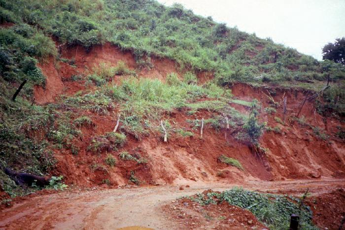 Impacto Ambiental Fertilidad del suelo Control de erosión Aumenta retención de agua en el suelo