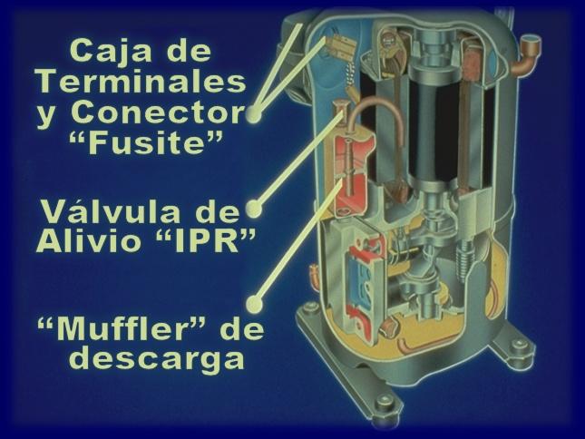 Localizacion de Valvula de Alivio,Silenciador y Termico Los compresores de más de 1Hp nominal (excepto los B/Q), poseen una válvula de alivio IPR instalada sobre el Muffler que abrirá a una presión