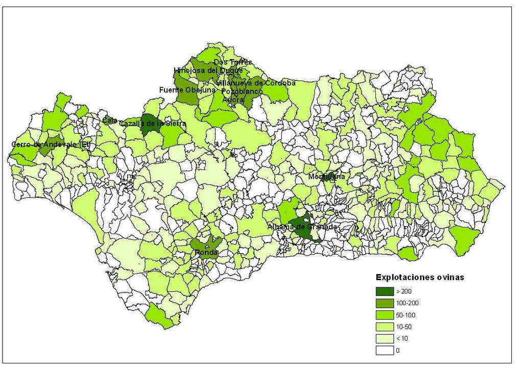 Mapa 3 Distribución municipal de las explotaciones dedicadas a la producción de ovino en Andalucía. Fuente: Encuesta sobre la estructura de las explotaciones agrícolas en Andalucía (213).