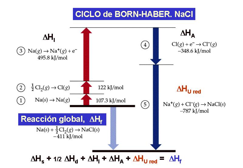 d) El cloro debe ganar un electrón (afinidad electrónica).
