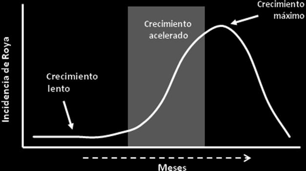 IV. PROGRESO DE LA ENFERMEDAD De acuerdo al patrón típico de la Roya del Cafeto, es posible determinar 3 etapas en el progreso de la enfermedad: crecimiento lento, acelerado y máximo (Figura 6).