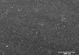 Por el contrario, los nanocompuestos de sílice ofrecen una protección permanente debido a que están firmemente anclados en la matriz de la película curada.