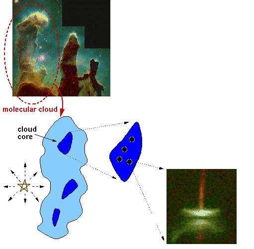 Cúmulos estelares Los procesos de formación estelar tienen lugar en las nubes moleculares.