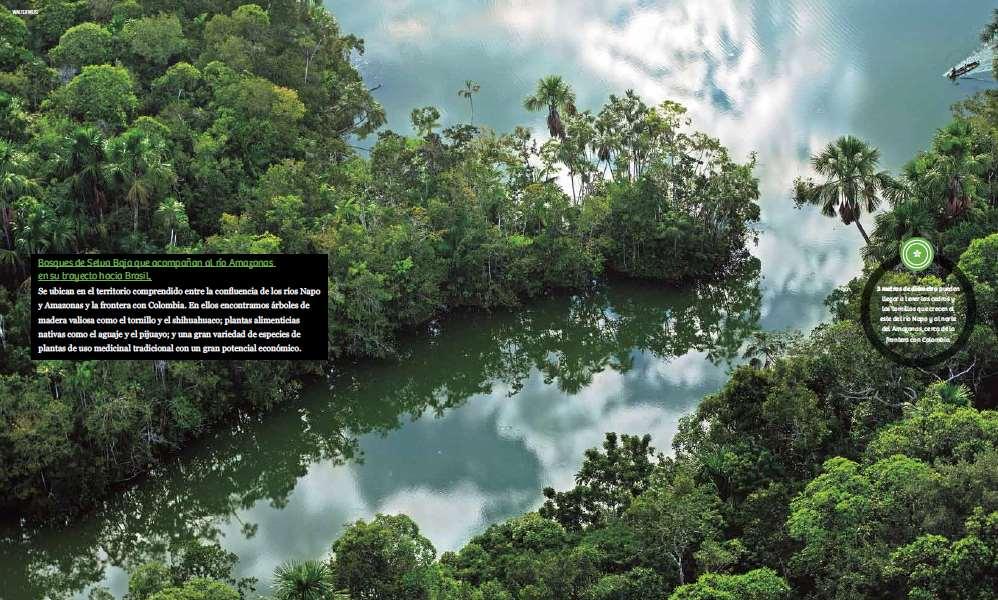 LEY FORESTAL Y DE FAUNA SILVESTRE Ley N 27308 Artículo 7.- Patrimonio Forestal Nacional y de Fauna Silvestre.