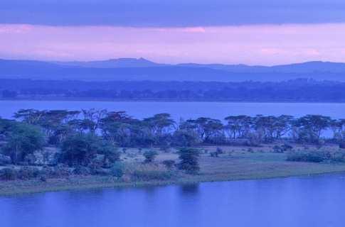 Pasaremos 2 noches en nuestro maravilloso Tented Camp a orillas del río Talek, Olengoti Eco Safari Camp, afluente del río Mara.