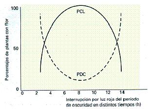 Fotorreceptores para percibir la duración del período de oscuridad Estos resultados indican que, en el caso de una PDC Un alto nivel de