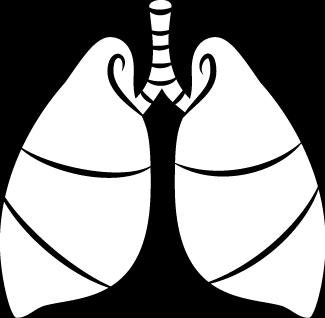Los síntomas que sí aparecen pueden asociarse a la TVP o a la embolia pulmonar.