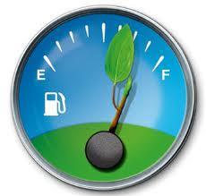 Medio ambiente El 100% de los vehículos destinados al servicio cumplirán las exigencias técnicas establecidas por la legislación aplicable.