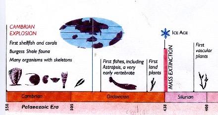 (En otra parte de la web, he creado un cálculo excéntrico de la Edad de Gaia). La vida de Kore, la Niña Salvaje original, se mide en geones, largas épocas de tiempo geológico.