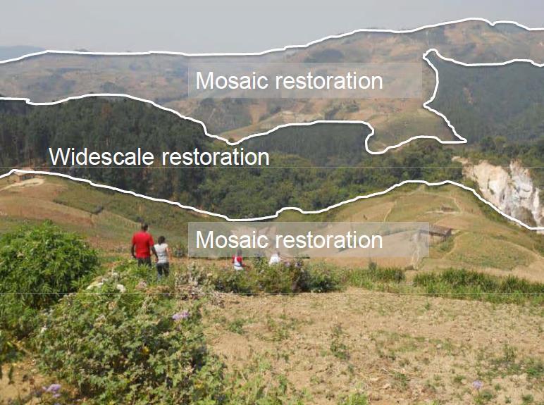 Oportunidades de restauración Más de dos mil millones de hectáreas en todo el mundo ofrecen oportunidades para la restauración.