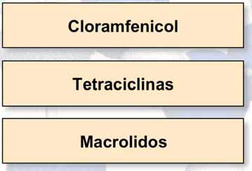Actividad Antimicrobiana Bactericidas Bacteriostáticos Fluoroquinolonas Sulfonamidas Aminoglicosidos Cloramfenicol