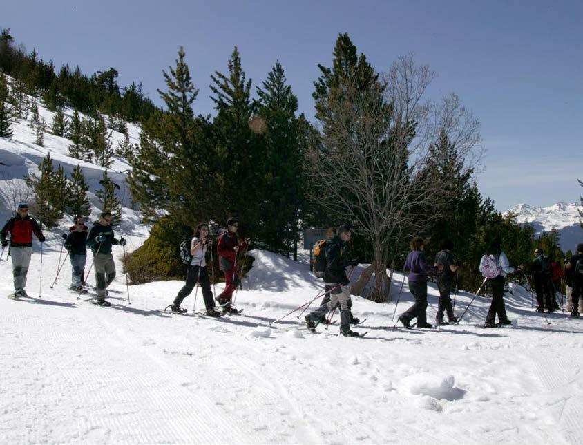 VIRÓS-VALLFERRERA L estació de Virós-Vallferrera, situada dins del Parc Natural de l Alt Pirineu, a la comarca del Pallars Sobirà, ens ofereix diverses alternatives per viure la neu i l hivern d una