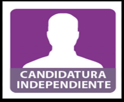 4.2. Candidatos Independientes CIUDADANO MEXICANO NO