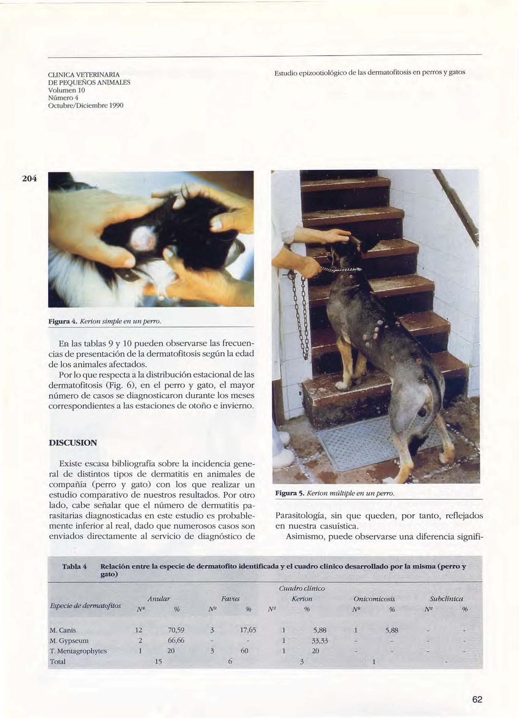CLINICA VETERINARIA DE PEQUEÑOS ANIMALES Volumen 10 204 Figura 4. Keriori simple en un perro.