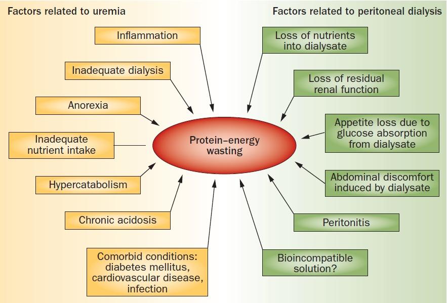 Causas de malnutrición proteico- energética