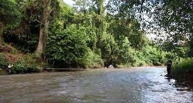 Formulación de una guía metodológica estandarizada para determinar la calidad ambiental de las aguas de los ríos de El Salvador, utilizando insectos acuáticos 8 Fig. 12. Medición del ancho del río 6.