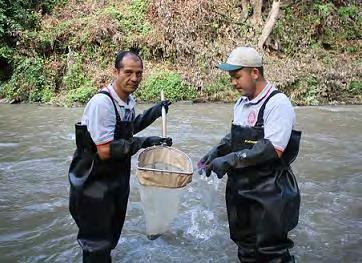 Formulación de una guía metodológica estandarizada para determinar la calidad ambiental de las aguas de los ríos de El Salvador, utilizando insectos acuáticos 11 7.