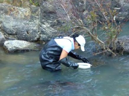 Formulación de una guía metodológica estandarizada para determinar la calidad ambiental de las aguas de los ríos de El Salvador, utilizando insectos acuáticos 14 Fig. 23.