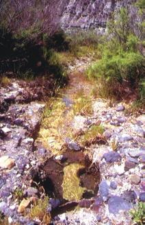 precipitación media), con una red de drenaje constituida, mayoritariamente, por cursos secos autóctonos denominados ramblas que hacen referencia a cauces anchos, de sustrato pedregoso, con agua sólo