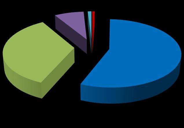 La distribución porcentual de los diferentes tipos de operadores autorizados se muestra a continuación: 53.21% 37.